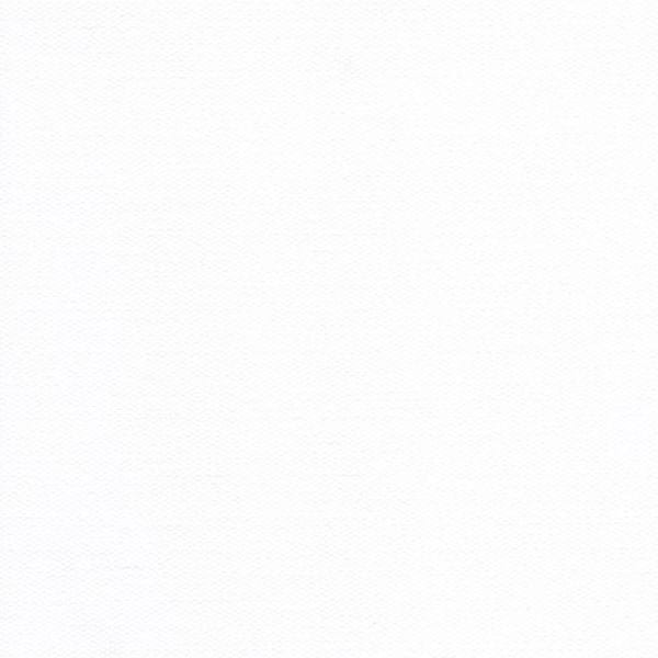 Toile Polyskin Uni Blanc DD4000